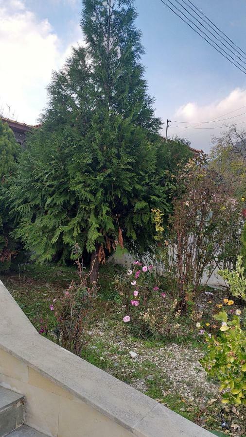 Protopapas House Kato Amiandos Екстер'єр фото